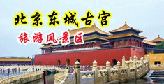 被操射精性高潮视频网站中国北京-东城古宫旅游风景区