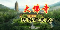 美女天天求大鸡巴插小穴的软件中国浙江-新昌大佛寺旅游风景区
